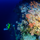 The descent into the reefs of Pohnpei, Micronesia.